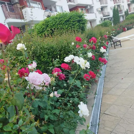 Noks Grand Wave&dreams Apartamento *