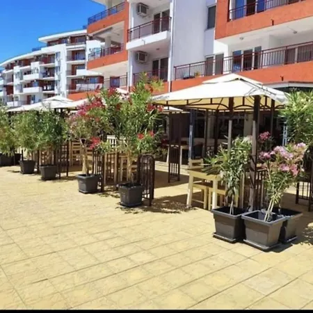 Noks Grand Wave&dreams *