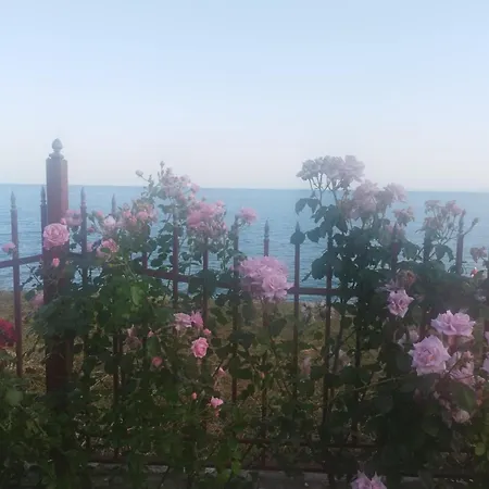 Apartamento Noks Grand Wave&dreams *