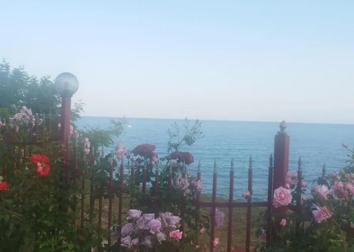 Noks Grand Wave&dreams דירה