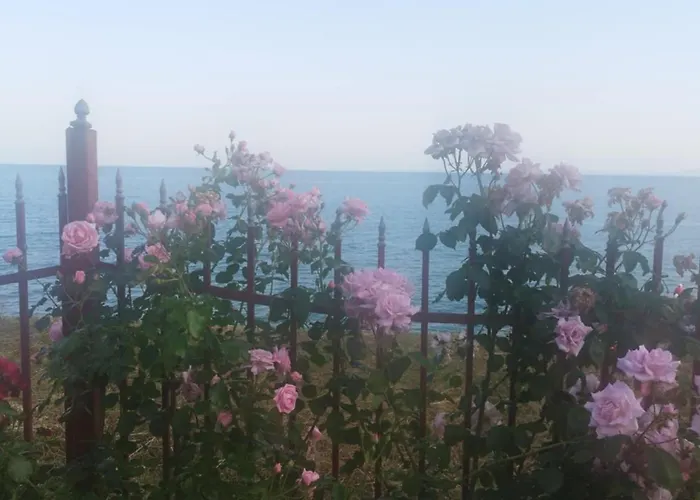 דירה Noks Grand Wave&dreams *